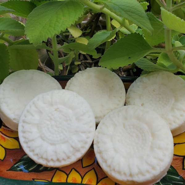 Normal/Oily Hair Solid Shampoo Bar with Provitamin B5 and Honey