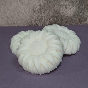 Body Wash Soap Bar