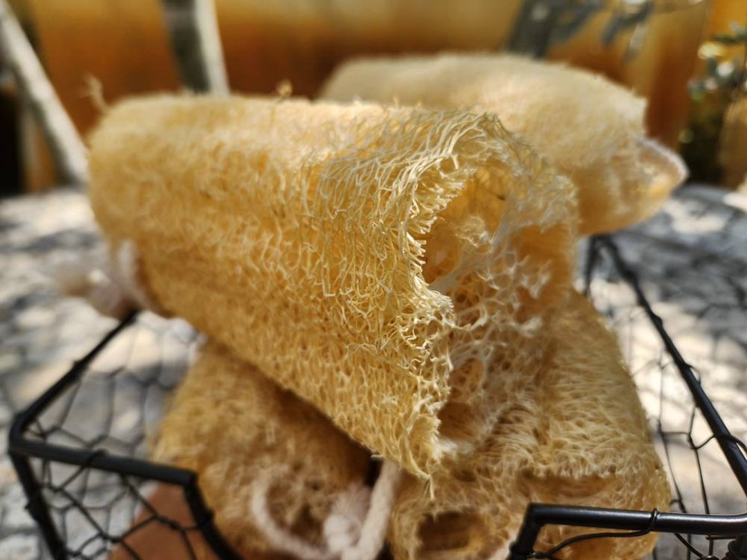 All Natural Loofah set of 2 Etsy