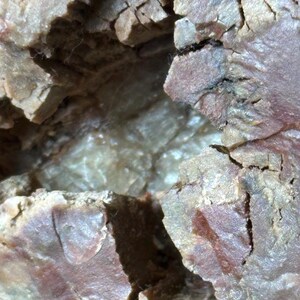 May include: Close-up of a rough, textured stone surface with a mix of colors including beige, brown, and hints of pink. The stone has a cracked appearance with a central cavity, revealing a lighter interior.