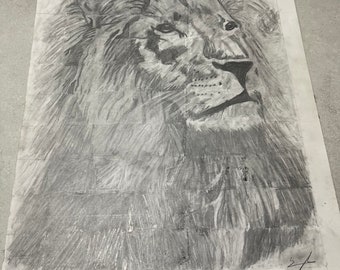 Big Lion Original Hand Drawn Artwork Lead Pencil Sketch Drawing Signed