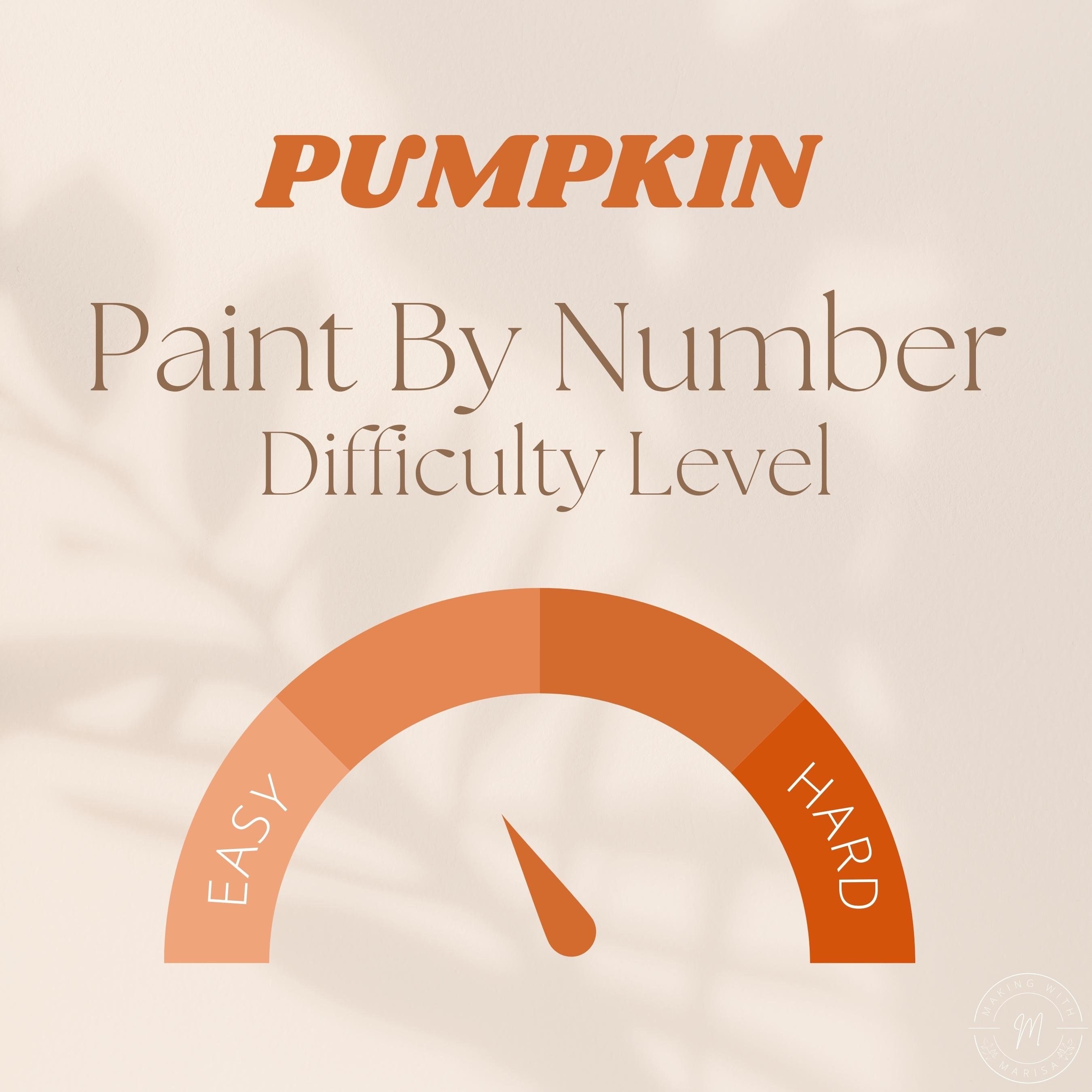 PUMPKIN Cozy Fall Paint by Number Kit for Adults DIY