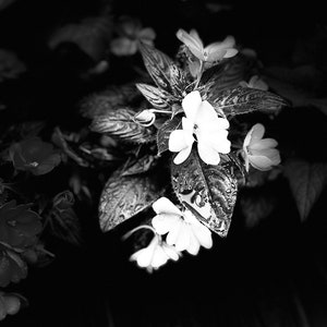 Darkness