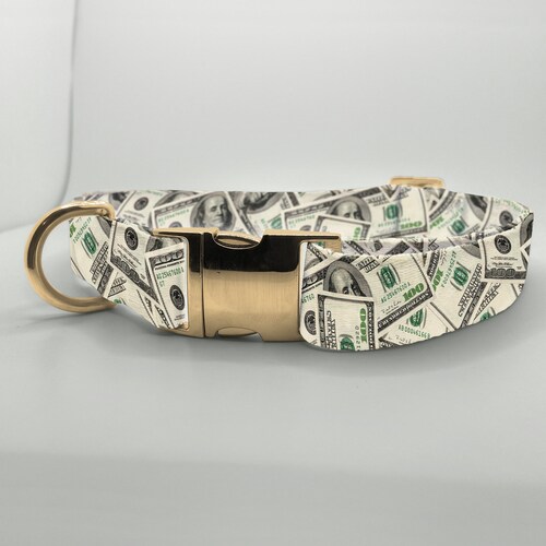 Cash Dog Collar Unisex Dollar Bill Dog Collar Money Dog Etsy
