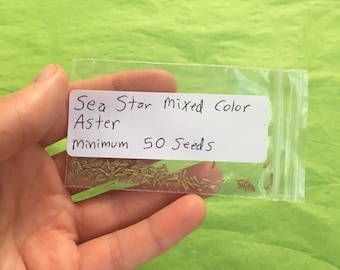 Sea Star Mixed Color Aster Seeds (Minimum 50 Seeds) - Callistephus chinensis Heirloom Flowers Flower China Aster Bouquet Flower Garden