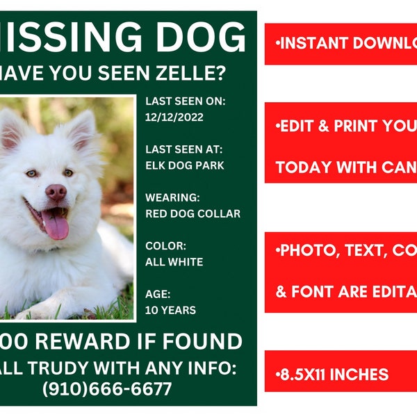 Editable Green & White Missing Dog Flyer Template
