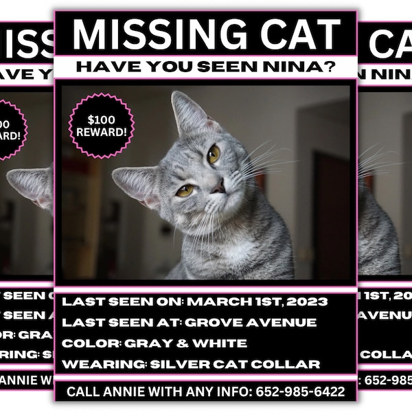 Editable Black & Pink Missing Cat Flyer, Canva Missing Cat Reward Poster