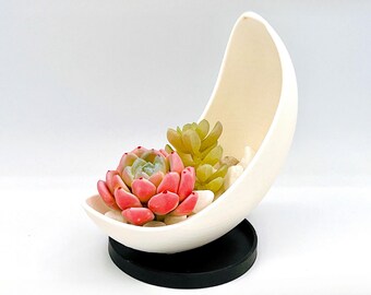 Maceta Lunar para arreglos suculentos, plantas aéreas y cactus. Colores personalizados. Impresión 3D