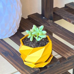 Può includere: Un vaso geometrico giallo con una pianta grassa al suo interno. Il vaso è posto su uno scaffale di legno.