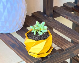 Low Poly Spiral Succulent Planter Pot with Drain Hole & Saucer - Custom Colors - 3D Printed