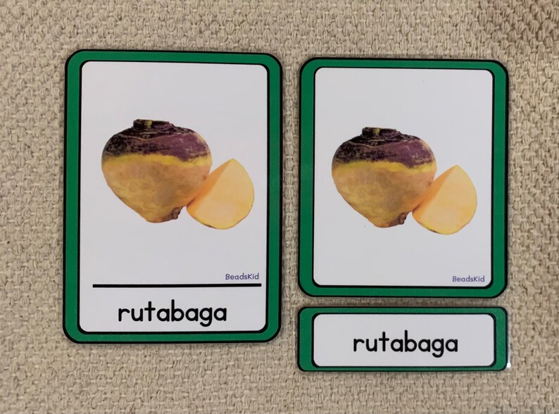 Montessori 3 Part Cards English or Spanish Root Vegetables Etsy