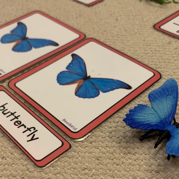 Montessori Insects-3-Part Cards-Three Part Cards-Montessori Cards and Objects-Object Matching-Montessori Toddler Cards-Montessori 3-6 years