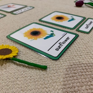 Montessori Flowers-3 part cards-Three Part Cards-Montessori Cards and Objects-Object Matching-Montessori Toddler Cards-Montessori 3-6 years