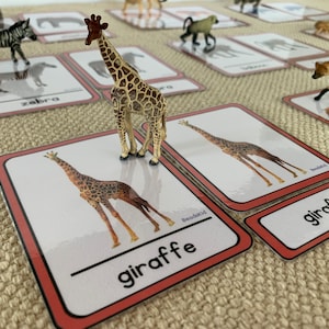 Montessori African Animals-3 part cards-Three Part Cards-Montessori Cards and Objects-Object Matching-Montessori Toddler Cards