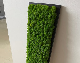 Puede incluir: Una pieza de arte de pared rectangular de musgo verde en un marco negro. El musgo está preservado y tiene un aspecto natural y texturizado. El marco es simple y moderno. El texto "decorativemoss.etsy.com" está impreso en la esquina inferior derecha del marco.