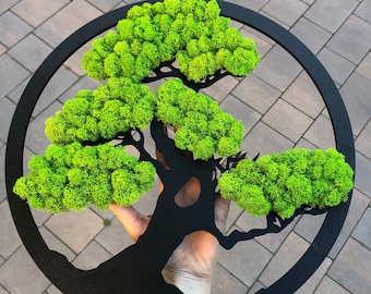 Tree with reindeer moss, a tree on the wall, stabilized plants, gift, picture of moss on the wall, home decoration, housewarming gift