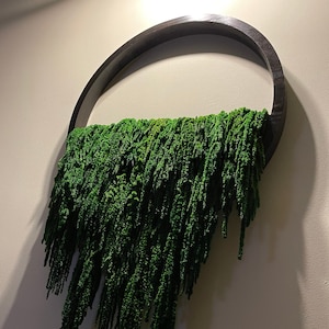 Könnte beinhalten: Ein dunkelbrauner runder Holzrahmen mit einer herabhängenden grünen Pflanze. Die Pflanze ist eine Art Moos oder Farn und hängt in einer Wasserfallform herunter.