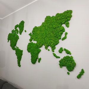 World map with moss, World map with Reindeermoss on a self-adhesive cork, natural decoration for wall, moss world map, vertical garden