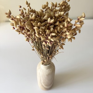 May include: A bunch of dried bunny tail grass in a light-coloured wooden vase. The bunny tails are a light tan colour with small, reddish-purple tips. The vase has a smooth, rounded shape.