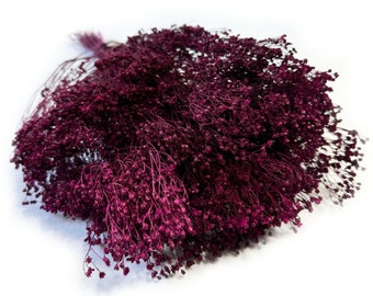 Dried Broom Bloom Dark Fuchsia, Dried Flowers, Floral Wedding Decor, Dried Flowers Home Decoration