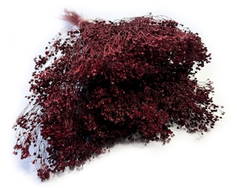 Dried Broom Bloom Claret, Dried Flowers, Floral Wedding Decor, Dried Flowers Home Decoration