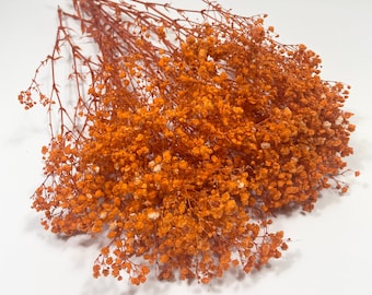 Preserved Baby's Breath | Orange | Dried Flowers | Stabilized Gypsophila | Floral Wedding Decor | Home Decoration | Bouquet of Flowers