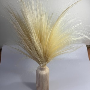 Könnte beinhalten: Ein Bund getrockneter, federartiger, hellgelber und weißer Gräser in einer kleinen, hellen Holzvase. Die Vase hat eine zylindrische Form mit schmalem Hals. Das Gras ist am Boden zusammengebunden.
