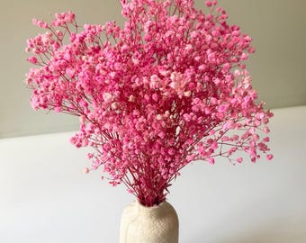 Preserved Baby's Breath Pink, Stabilized Gypsophila, Dried Flowers, Floral Wedding Decor, Dried Flowers Home Decoration, Stabilized
