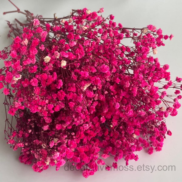 Preserved Baby's Breath Fuchsia, Stabilized Gypsophila, Dried Flowers, Floral Wedding Decor, Dried Flowers Home Decoration, Stabilized