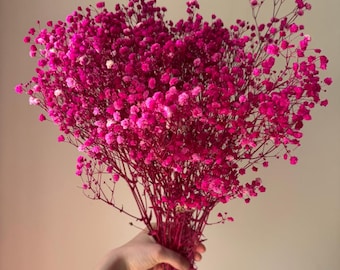 Preserved Baby's Breath Fuchsia, Stabilized Gypsophila, Dried Flowers, Floral Wedding Decor, Dried Flowers Home Decoration, Stabilized