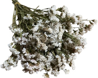 Dried German Statice, Dried White Flowers, Small White Flowers