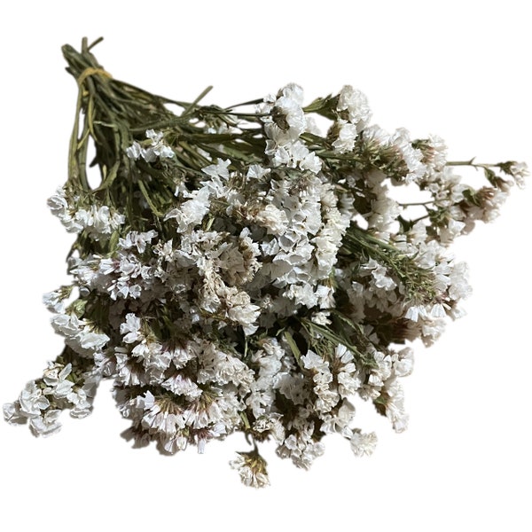Dried Statice Limonium | White | Flowers | Home Decor | Dried Flowers | Wedding Decor | Boho