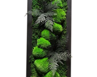 Puede incluir: Una pieza de arte de pared enmarcada en negro con una disposición vertical de musgo y helechos preservados. El musgo está dispuesto en forma de cascada, creando un aspecto natural y orgánico.