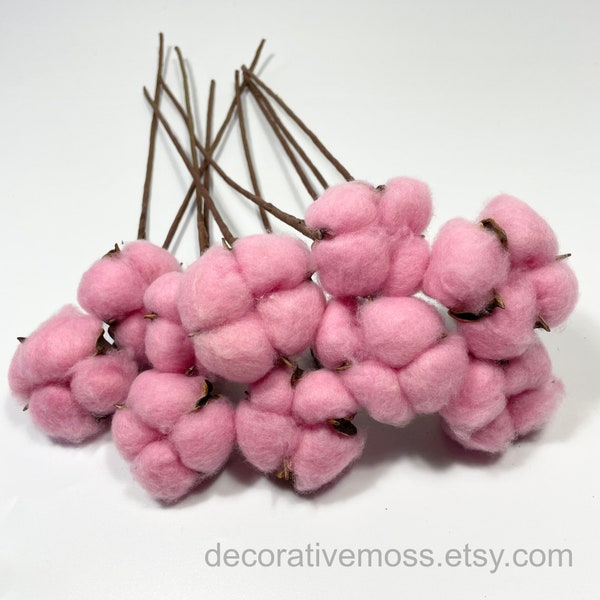 Dried Cotton | Pink | 10 Stems | Flower Cotton | Natural Dried Flowers | Decorative Cotton Flower