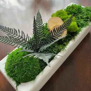 Blumentopf aus Keramik mit stabilisiertem Moos | Konserviertes Kugelmoos, Flachmoos | Dekoration für Zuhause | Hochzeit | Geschenk | Konservierter Farn