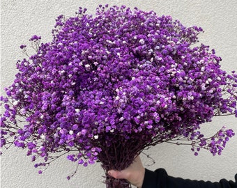 Alito del bambino conservato / Viola / Fiori secchi / Gypsophila stabilizzata / Decorazione floreale per matrimoni / Decorazione per la casa / Bouquet di fiori