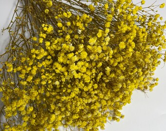 Aliento de bebé preservado / Amarillo / Flores secas / Gypsophila estabilizada / Decoración floral para bodas / Decoración del hogar / Ramo de flores