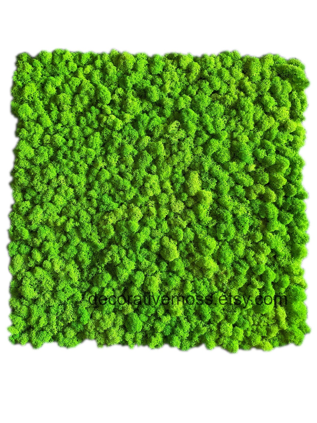 Green Wall Panel, Moss Tiles, Panel With Reindeermoss, Preserved Moss