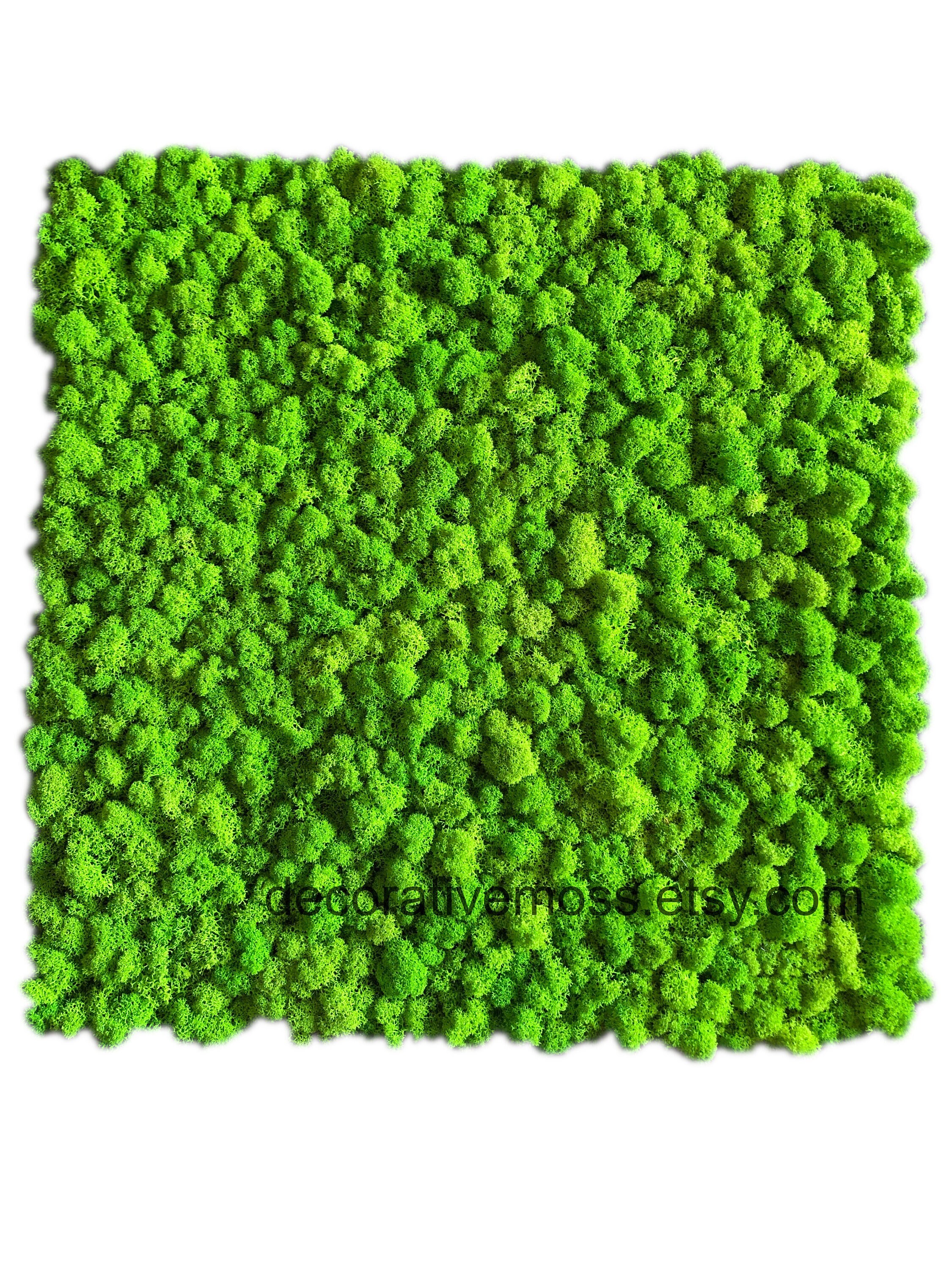 Misuratore Per Anelli Professionale - Set Con Mandrino Metallico, Taglie UK/UE/USA/Svizzera - Foto 5