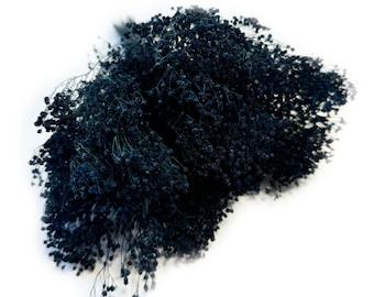 May include: A bunch of dried baby's breath flowers in a deep blue color. The flowers are arranged in a loose, natural cluster.