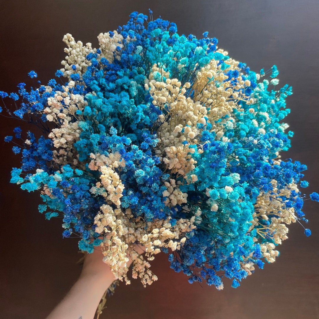Preserved Baby's Breath, Dried Flowers, Gypsophila, Dried Flowers ...