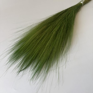 Puede incluir: Un manojo de hierba ornamental verde seca. La hierba tiene hojas largas y finas y está atada en la base con un alambre plateado. El color es un verde natural vibrante, y la textura parece suave y plumosa.