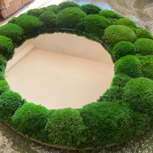wheel with moss, wheel with mirror, stabilized moss on the wall, wooden wheel, preserved ball moss