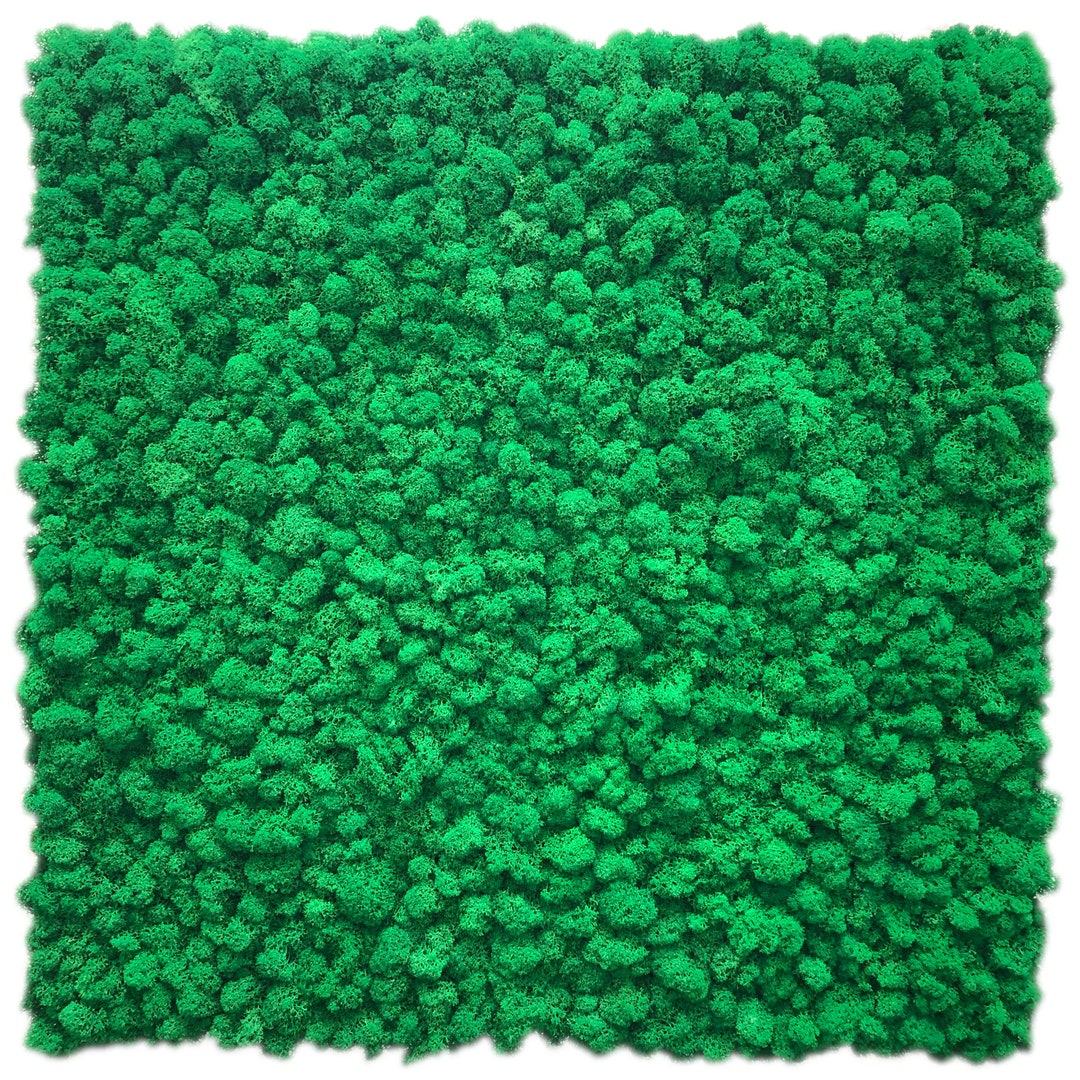 Green Wall Panel, Moss Tiles, Panel With Reindeermoss, Preserved Moss