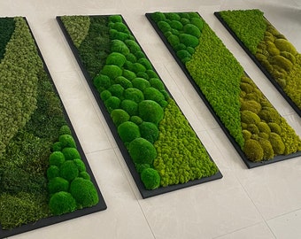 May include: Four rectangular wall decor pieces with a black frame and a variety of green moss textures. The moss is arranged in a geometric pattern with some pieces featuring round moss shapes.