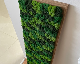Puede incluir: Una pieza de arte de pared enmarcada con un diseño de musgo verde. El musgo está dispuesto en un patrón en capas, creando un aspecto texturizado y natural.