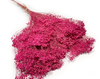 Dried Broom Bloom Fuchsia, Dried Flowers, Floral Wedding Decor, Dried Flowers Home Decoration