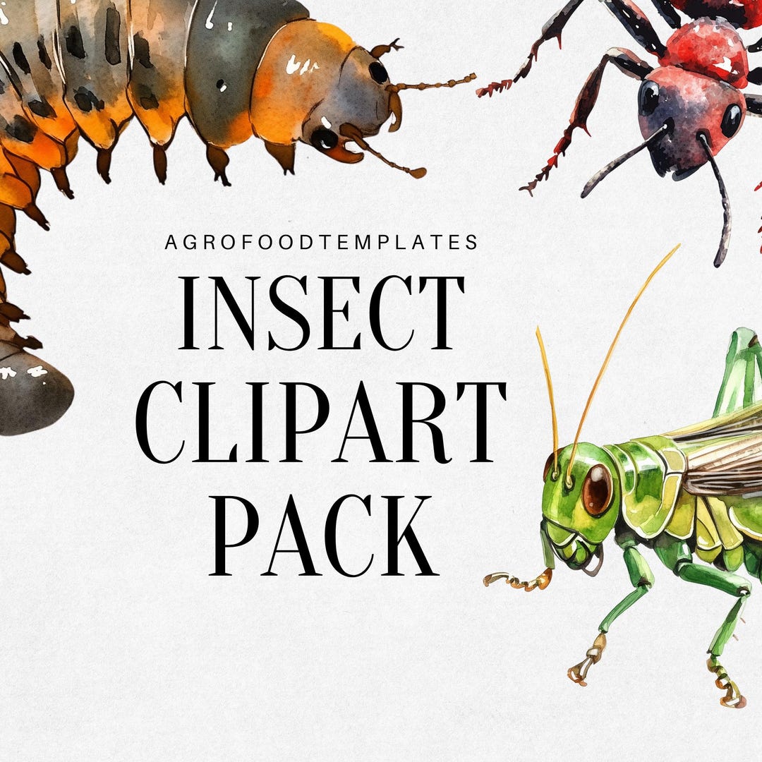 Insect Clipart Pack – Edible Insects Graphics, Digital Art for ...