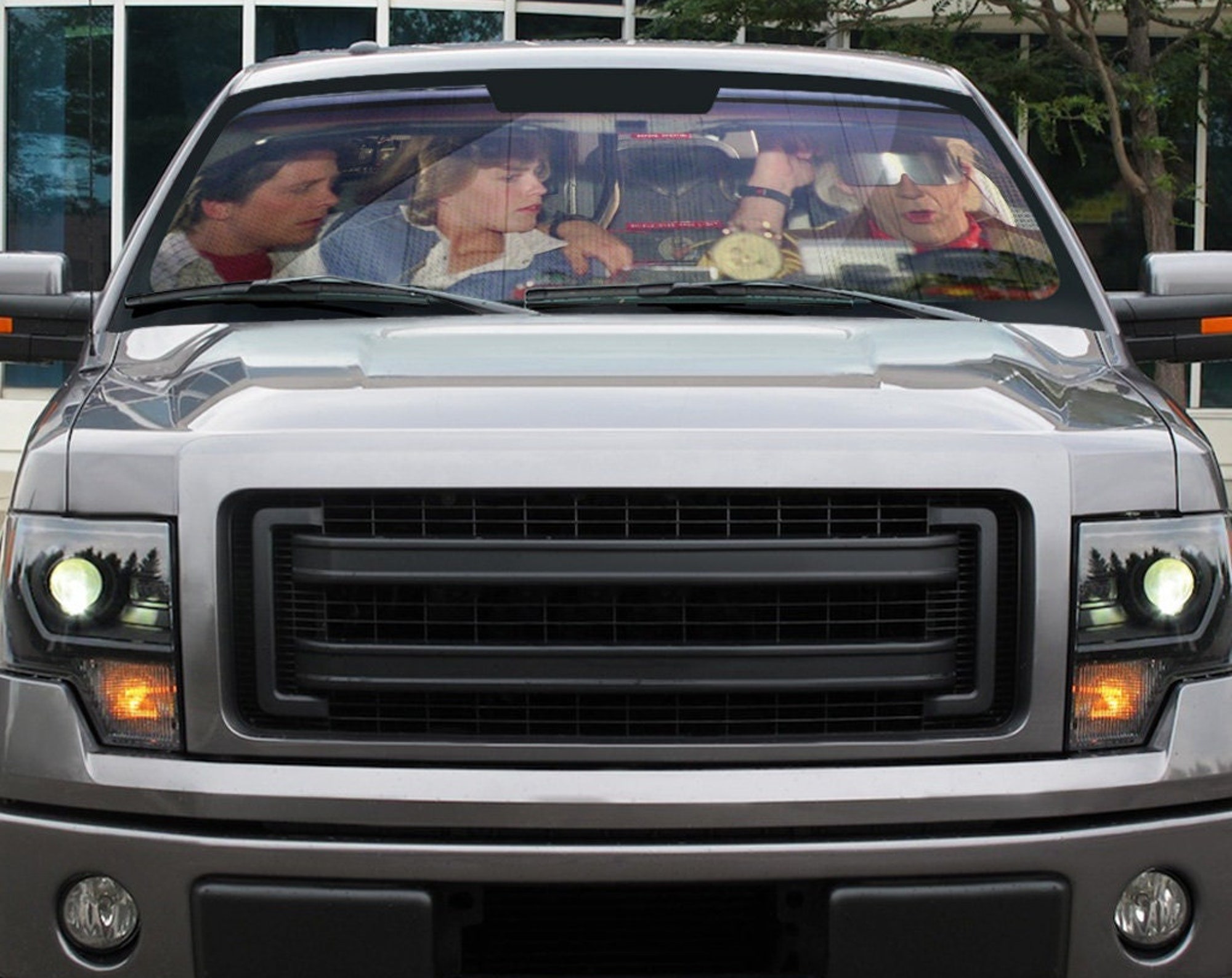 Discover Marty and Doc Car Auto Sun Shade