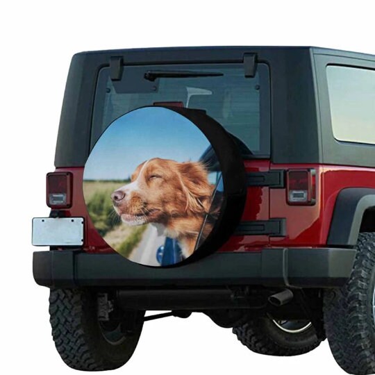 Disover Custom Spare Tire Cover